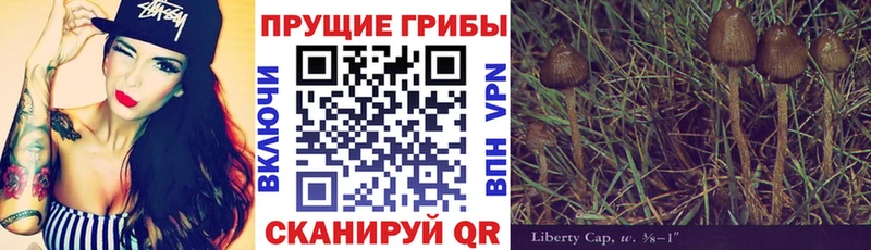Галлюциногенные грибы MAGIC MUSHROOMS Павловская